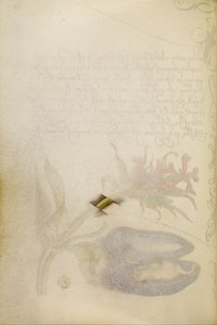 マルタ十字架のトロンペ・ルイユ幹